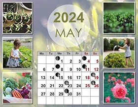 2024 lunar calendar example 10