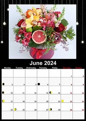 2024 lunar calendar example 5