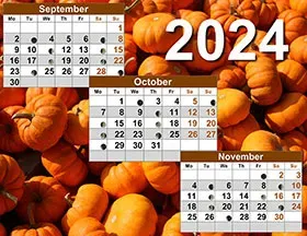 2024 lunar calendar example 9
