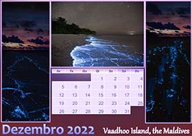 2022 photo calendar 14