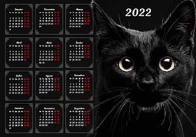 2022 photo calendar 19