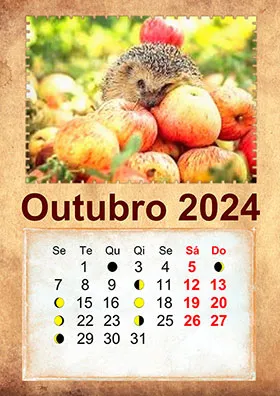 2024 photo calendar 10