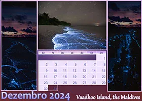 2024 photo calendar 14