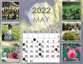 2022 lunar calendar example 10