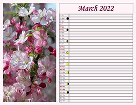 2022 lunar calendar example 11