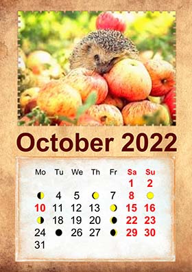 2022 lunar calendar example 4