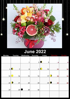 2022 lunar calendar example 5