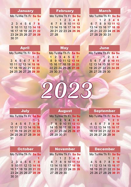 2023 Yearly Photo Calendar: Wall & Pocket Calendar Designs