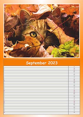 2023 monthly planner example