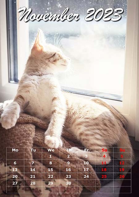 2023 Monthly Photo Calendars - Dozens of Gorgeous Designs