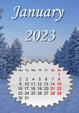 2023 horizontal monthly calendar example 5