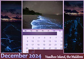 2024 horizontal monthly calendar example 8
