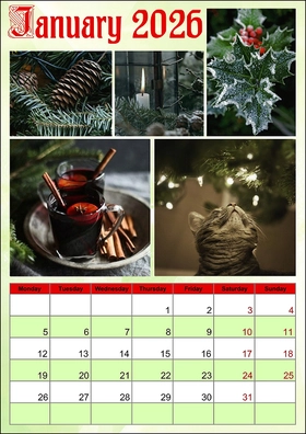 2026 monthly calendar example