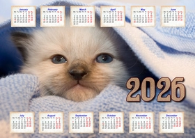 2026 horizontal yearly calendar example 3