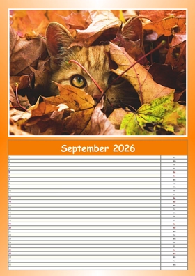 2026 monthly planner example