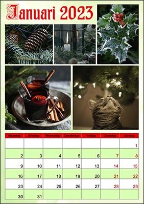 2023 monthly calendar example