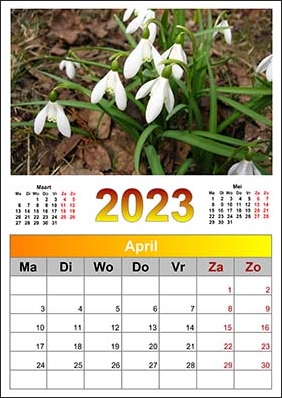 2023 wall calendar example
