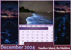 2024 horizontal yearly calendar example 2