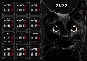 2022 horizontal yearly calendar example