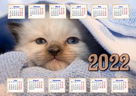 2022 horizontal yearly calendar example 3